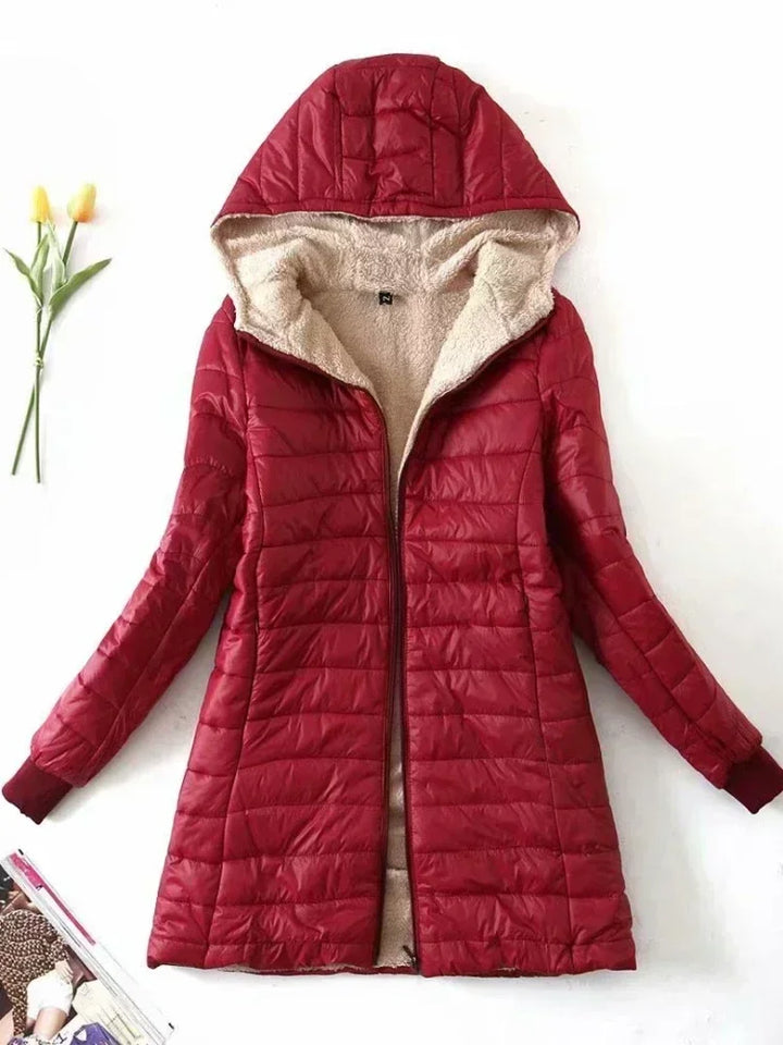 Laurent | Korean-Style Jacket