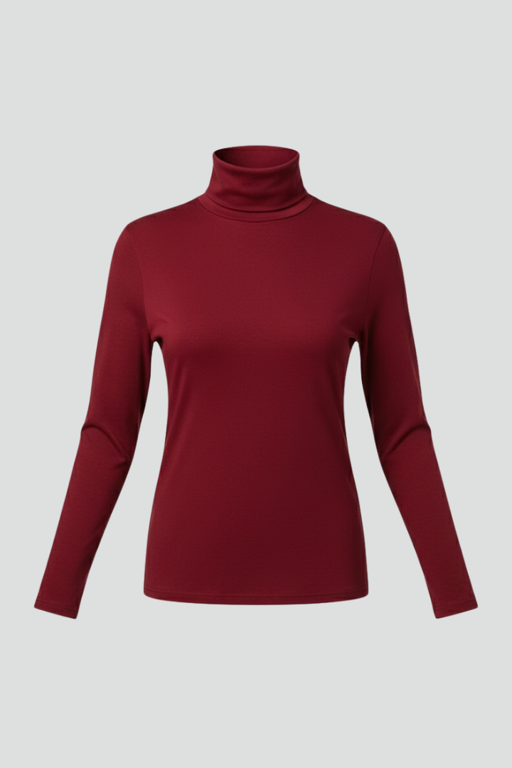 Women's Turtleneck Sweater Roll Neck Long Sleeve Straight Cuffs Plain Casual Layering