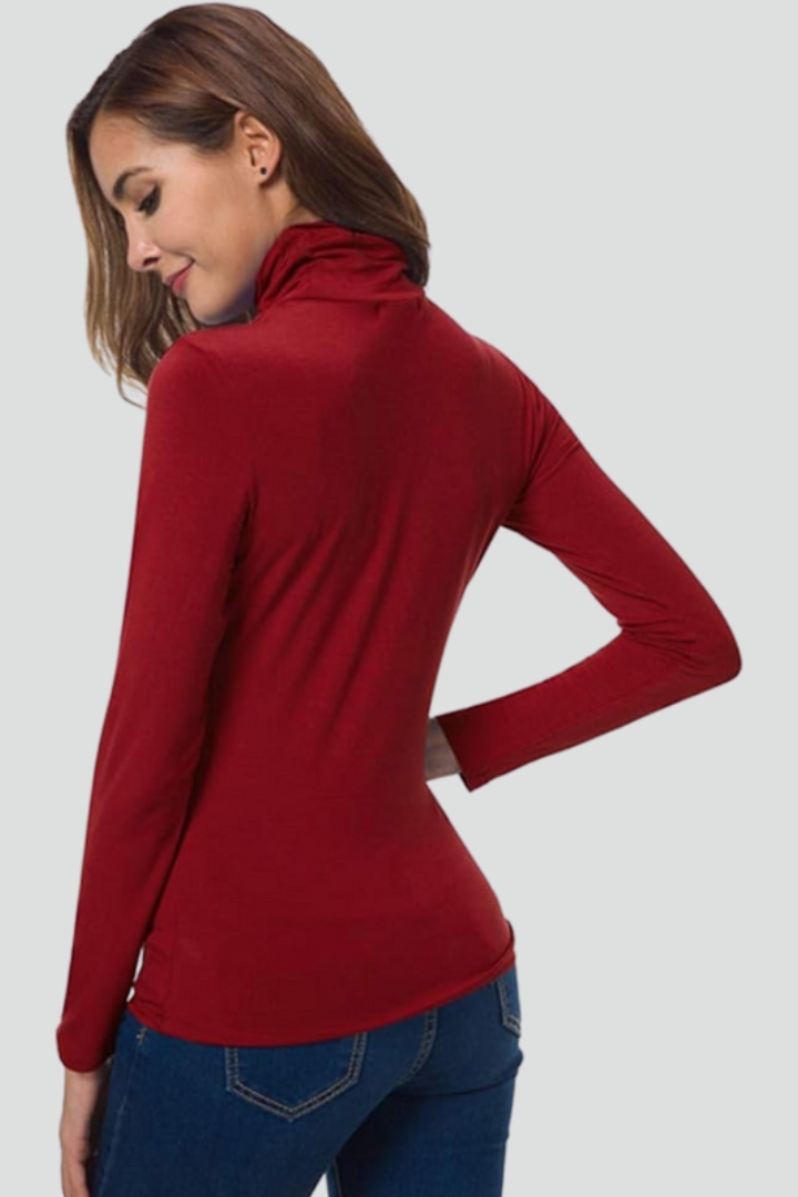Women's Turtleneck Sweater Roll Neck Long Sleeve Straight Cuffs Plain Casual Layering